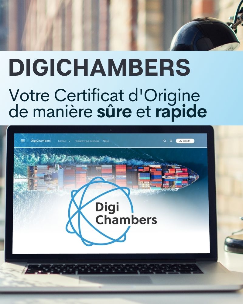 DigiChambers