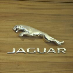 Wapitour Jaguar Land Rover