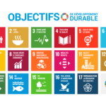 Forum des entreprises wallonnes engagées dans un programme de certification SDG